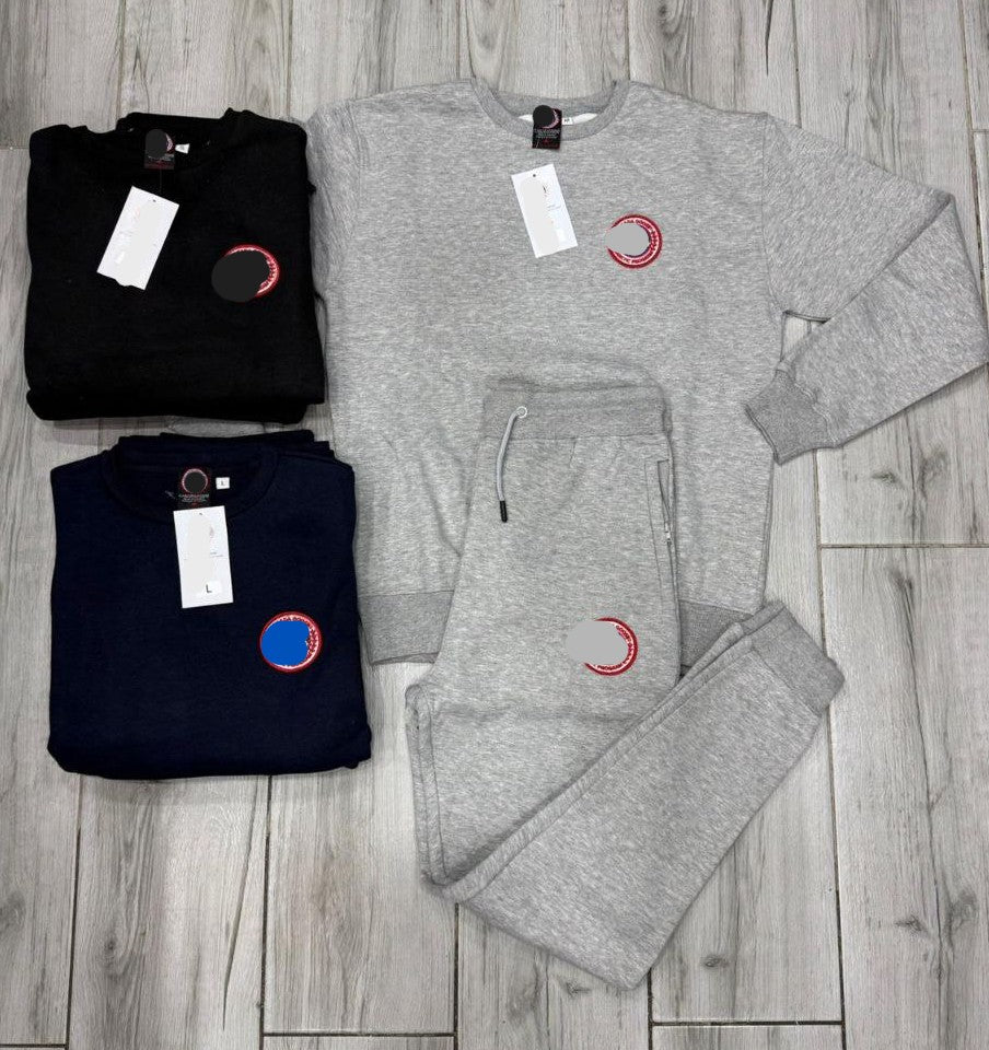 Canadian Goose Track